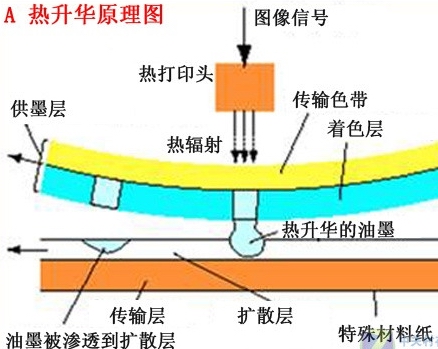 升华的原理是什么_泽塔升华器图片